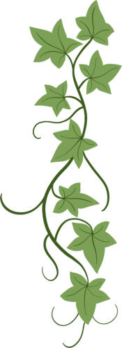 vecteezy_floral-ivy-drawing-decorative-ornament-flat-design_36162322